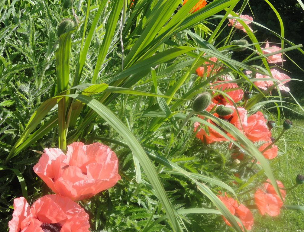 Ruhige Wohnung Mit Schoenem Eigengarten In Seeboden Am Millstaettersee Exterior foto